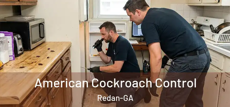  American Cockroach Control Redan-GA
