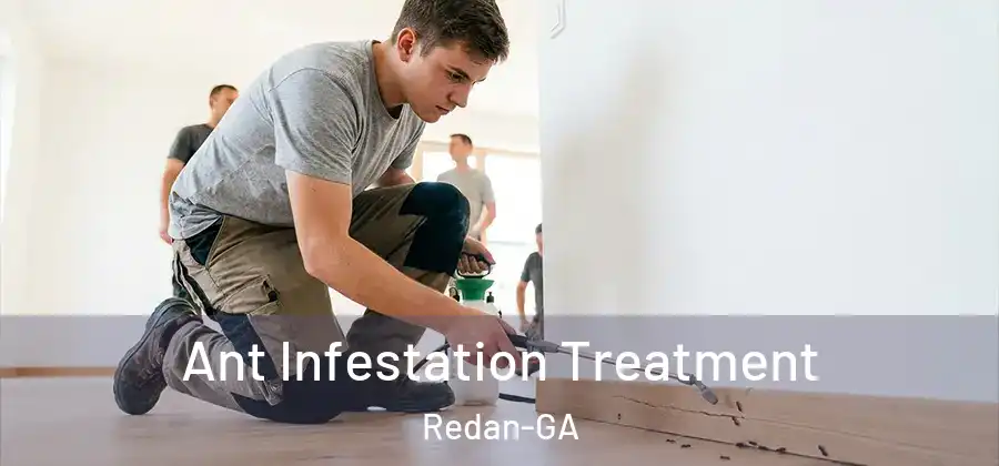  Ant Infestation Treatment Redan-GA
