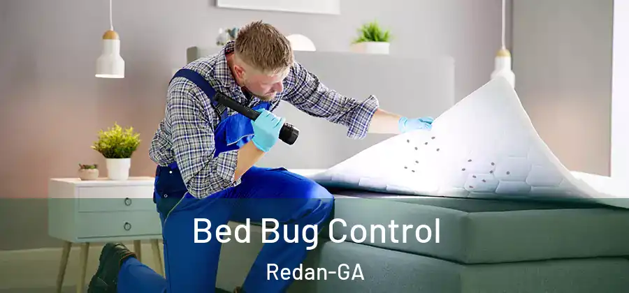  Bed Bug Control Redan-GA