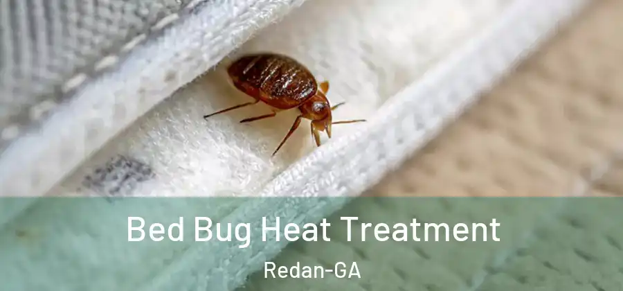 Bed Bug Heat Treatment Redan-GA