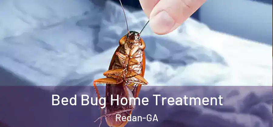 Bed Bug Home Treatment Redan-GA