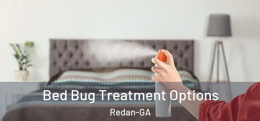  Bed Bug Treatment Options Redan-GA
