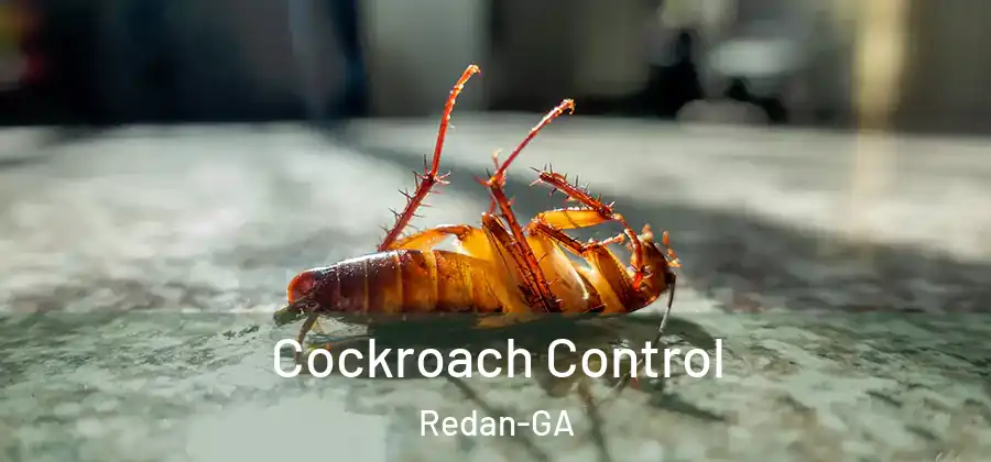  Cockroach Control Redan-GA