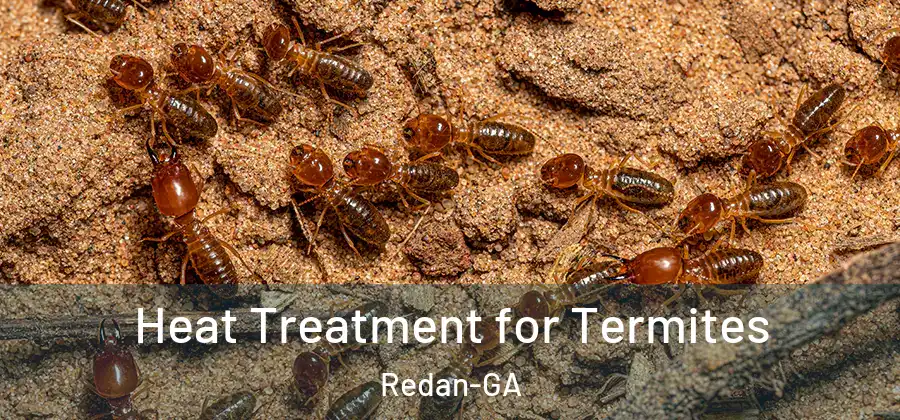 Heat Treatment for Termites Redan-GA