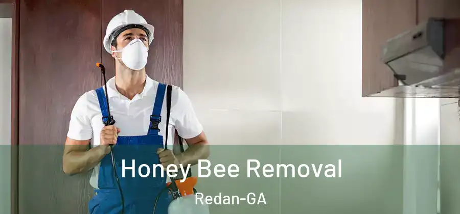 Honey Bee Removal Redan-GA