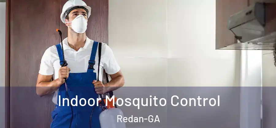 Indoor Mosquito Control Redan-GA