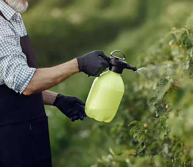Your Proven Mosquito Treatment Company in Redan, GA