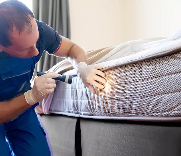 Trusted Bed Bug Cost Experts in Redan, GA