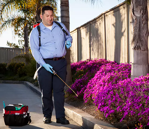 About Our Eco Safe Pest Control Experts in Redan, GA