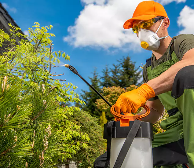 Your Best Bug Spray for Home Team in Redan, GA