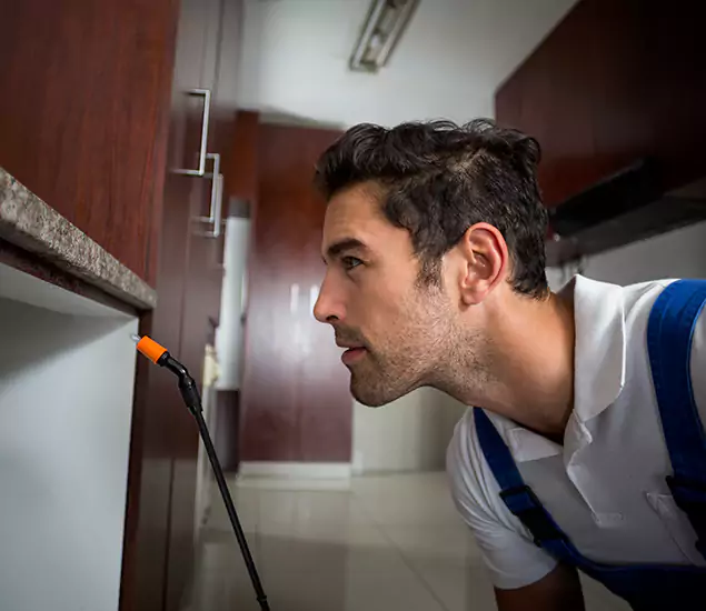 Expert Rodent in Attic Removal: Your Proven Pest Specialists in Redan, GA