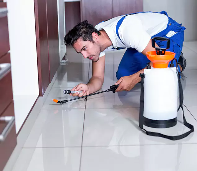 Advanced Slab Termite Treatment Experts You Can Trust&nbsp;in Redan, GA