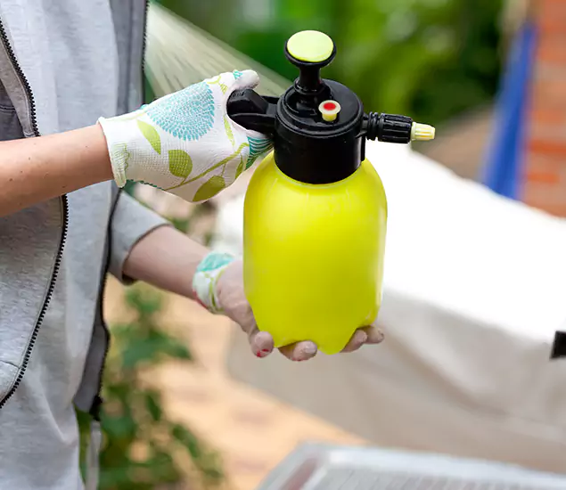 Skilled Residential Small Black Ant Service in Redan, GA