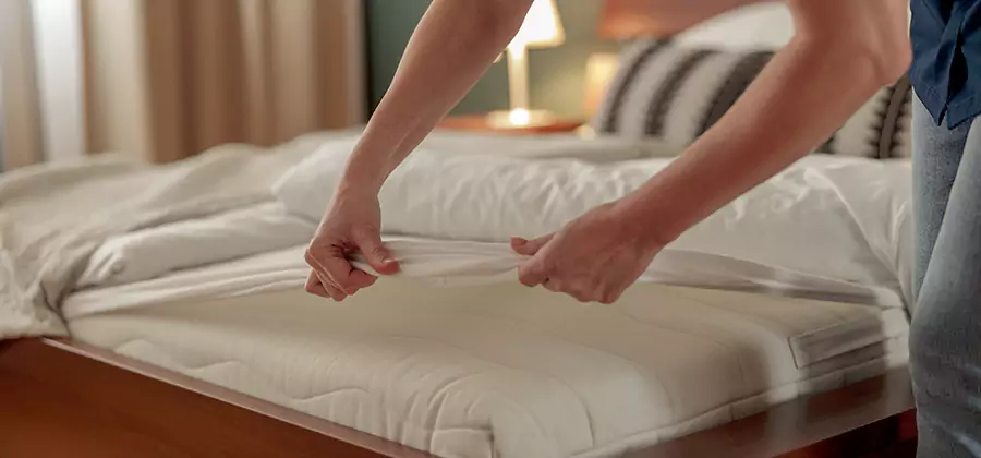 Bed Bug Extermination Services in Redan