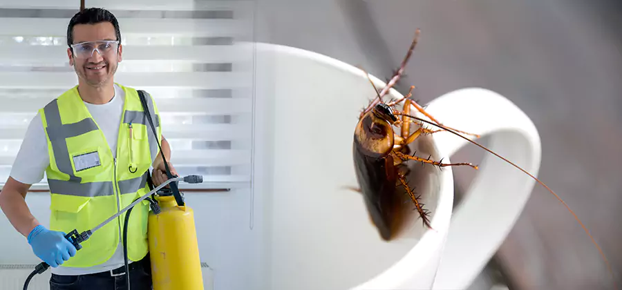 German Roach Infestation Treatment Redan