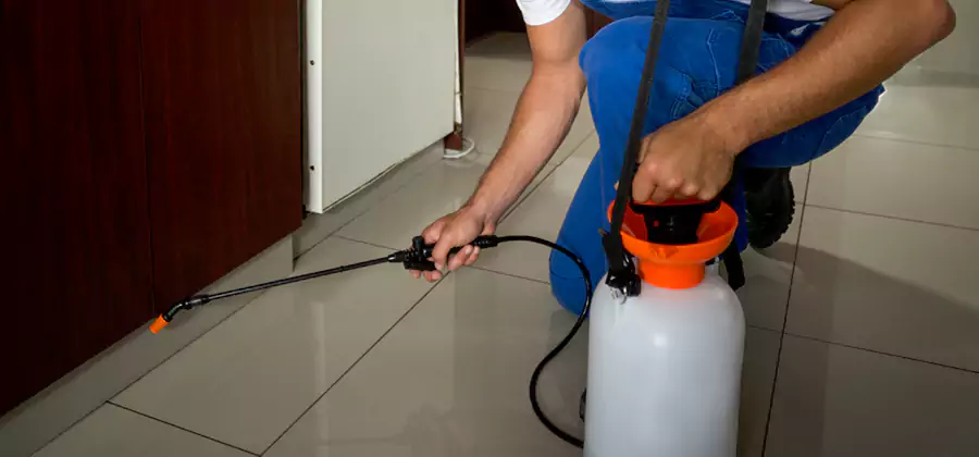 Indoor Mosquito Treatment in Redan
