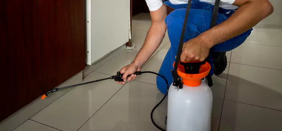 Indoor Insect Killer Solutions in Redan
