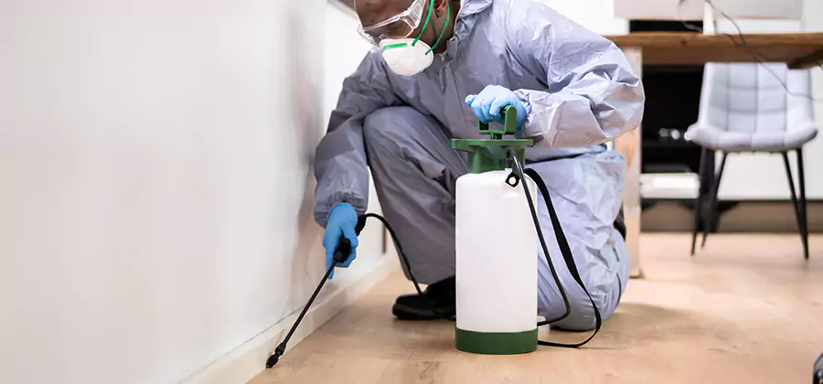 Long Lasting Mosquito Treatment in Redan
