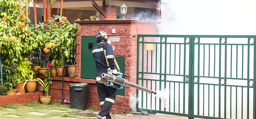 Backyard Mosquito Foggers Service in Redan
