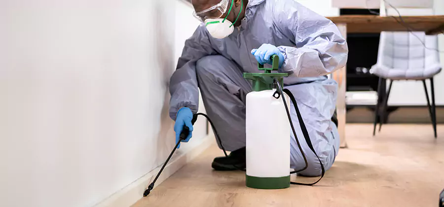 No Tent Termite Extermination With Electric Tool in Redan