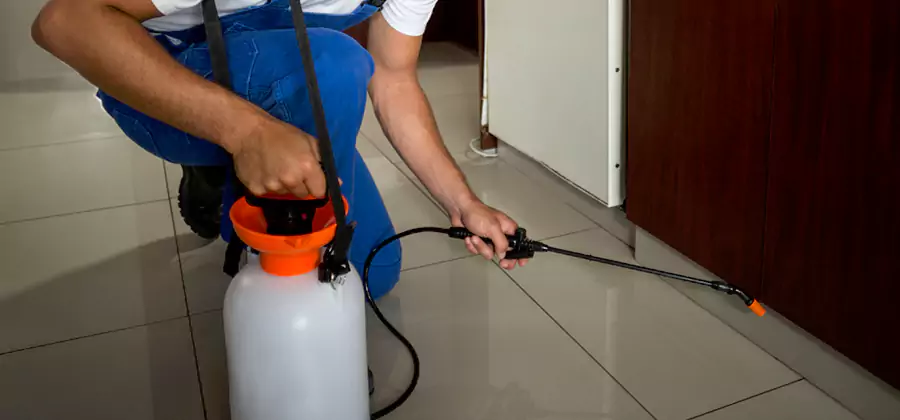 One Time Termite Control in Redan