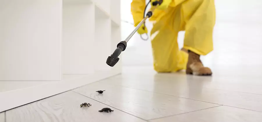 Roach and Bed Bug Exterminator in Redan