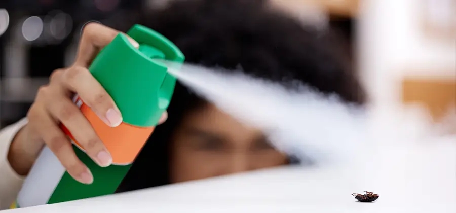 Child Safe Bed Bug Treatment in Redan