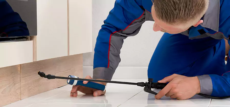Moisture Treatment For Termite Control Service in Redan