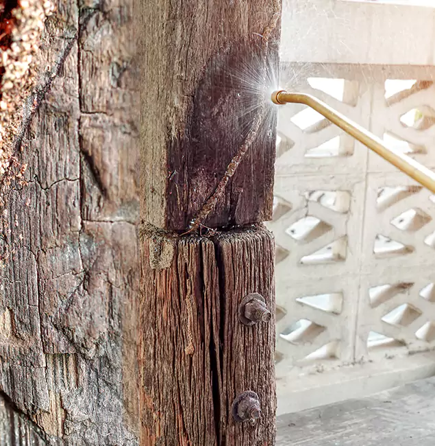 Why Choose Red Ant Pest Control Pros for Attic Termite Treatment in Redan, GA?