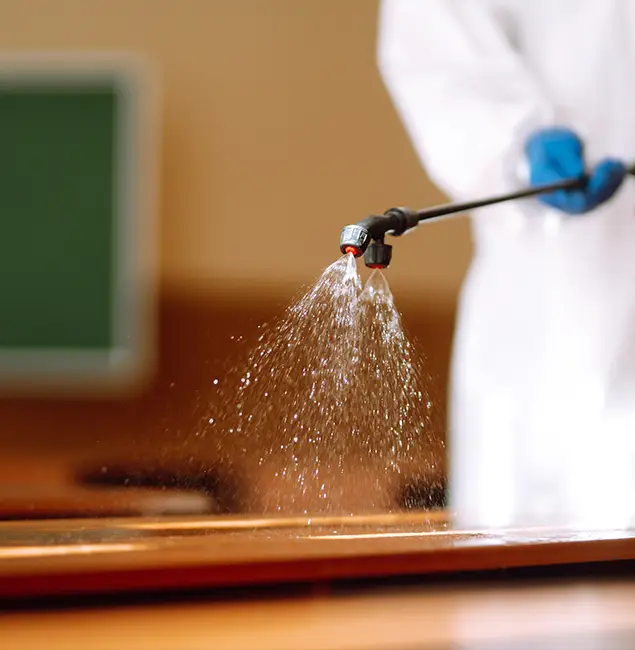 Why Choose Red Ant Pest Control Pros for Bed Bug Chemical Treatment in Redan, GA?