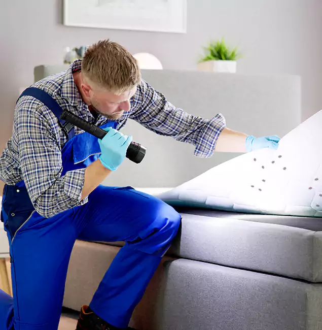 Why Choose Red Ant Pest Control Pros For Bed Bug Heat Treatment in Redan, GA?