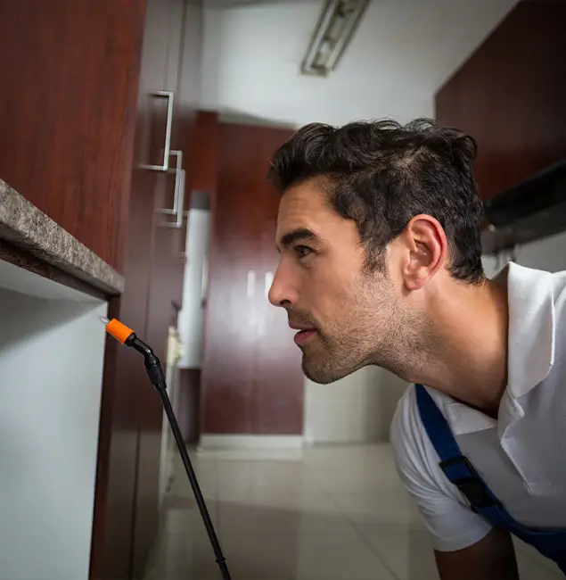Why Choose Red Ant Pest Control Pros for Bed Bug Removal Cost in Redan, GA?