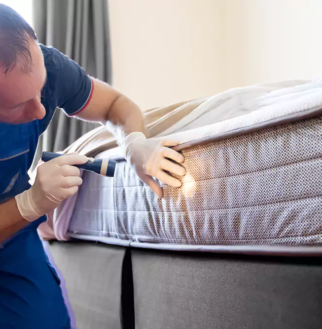 Why Choose Red Ant Pest Control Pros for Bed Bug Services in Redan, GA?