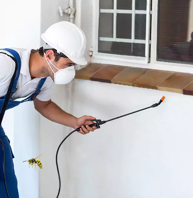 Why Redan Property Owners Choose Red Ant Pest Control Pros for Bee Nest Removal?