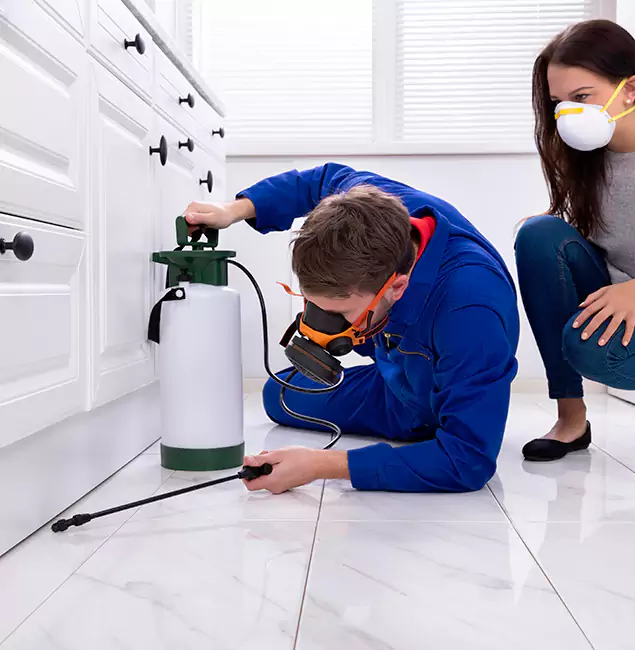 Why Choose Red Ant Pest Control Pros in Redan, GA?