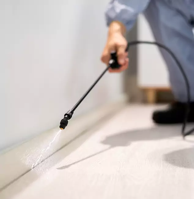Why Choose Red Ant Pest Control Pros for Termite Treatment in Redan, GA?