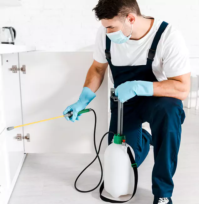 Why Choose Red Ant Pest Control Pros for Indoor Pest Control in Redan, GA?