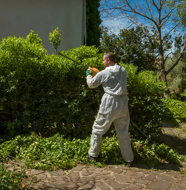 Why Red Ant Pest Control Pros Leads Mosquito Control in Redan, GA?