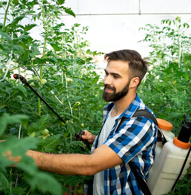 Why Redan Homeowners Choose Red Ant Pest Control Pros for Mosquito Spraying?