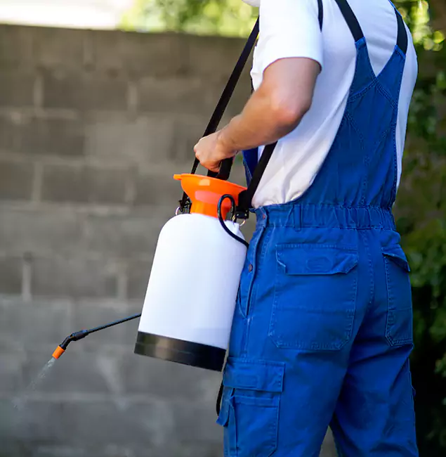 Why Red Ant Pest Control Pros Delivers the Best Mosquito Control in Redan, GA?