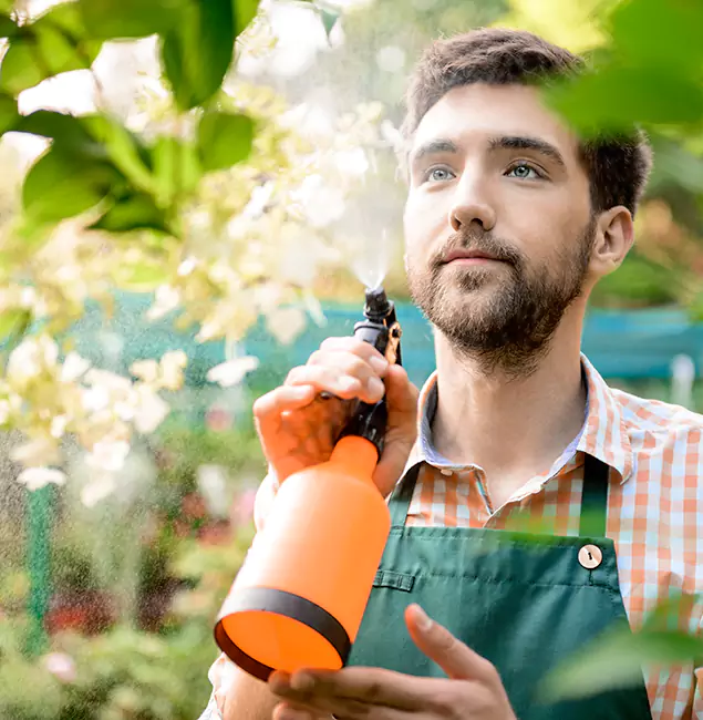 Why Redan Homeowners Call Red Ant Pest Control Pros for Mosquitoes in House?