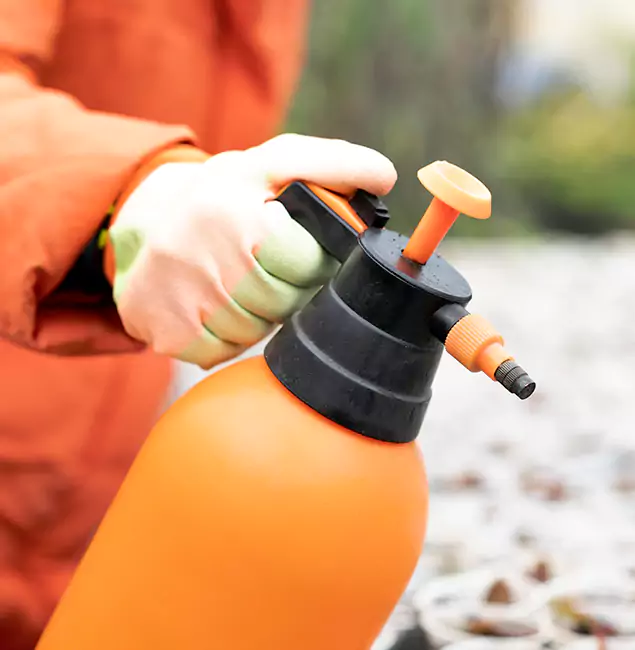 Why Choose Red Ant Pest Control Pros for Orange Termite Treatment in Redan, GA?