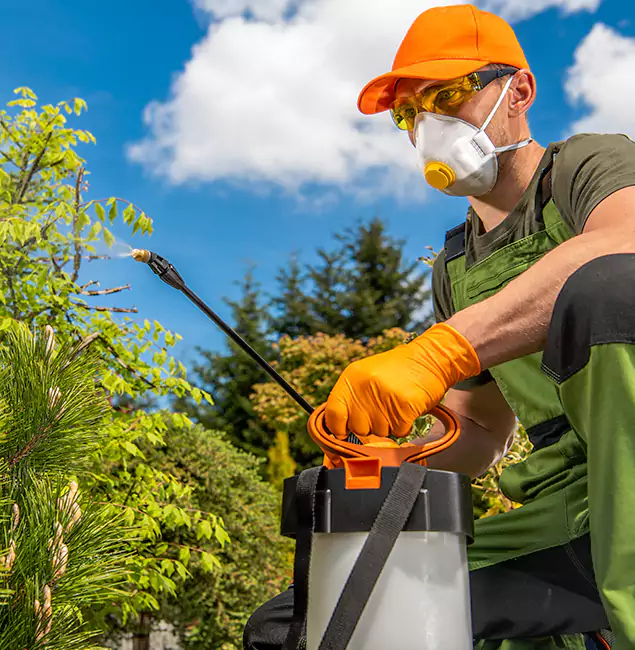 Why Choose Red Ant Pest Control Pros for Outdoor Pest Control in Redan, GA?