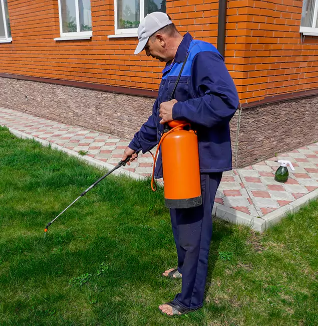 Why Choose Red Ant Pest Control Pros for Residential Pest Control in Redan, GA?