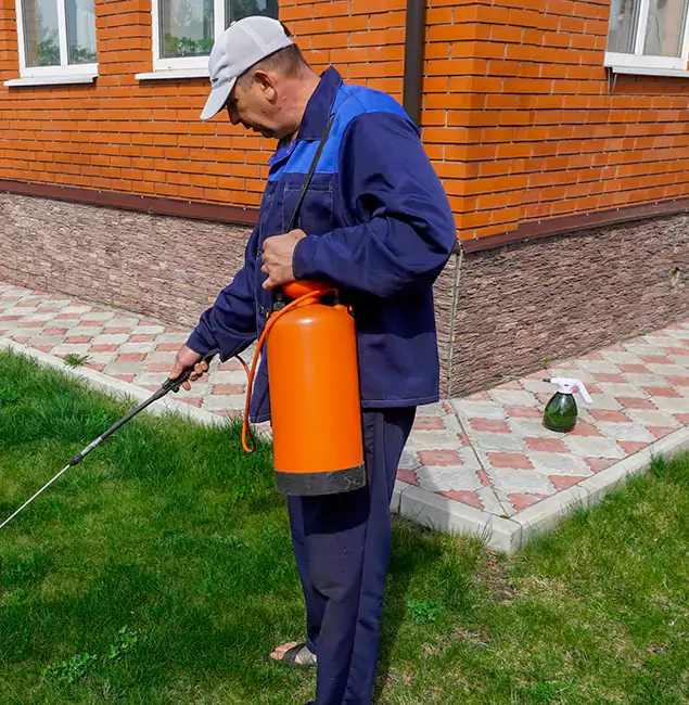 Why Choose Red Ant Pest Control Pros for Soil Treatment in Redan, GA?