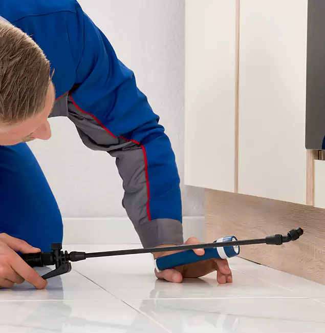 Why Redan Residents Choose Red Ant Pest Control Pros to Get Rid of Sugar Ants?