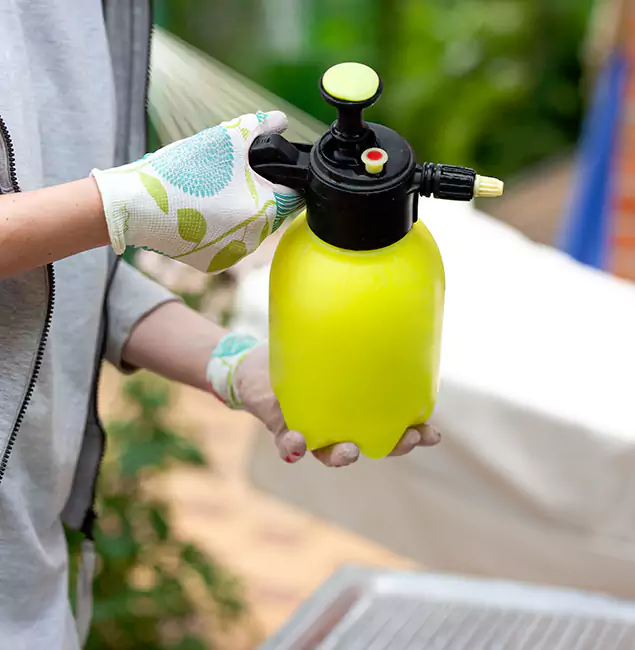 Why Choose Us: Red Ant Pest Control Pros Termite Spraying Experts in Redan, GA?