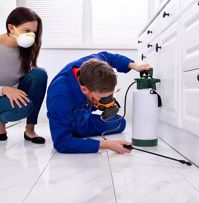 Why Choose Wood Termite Treatment by Red Ant Pest Control Pros in Redan, GA?