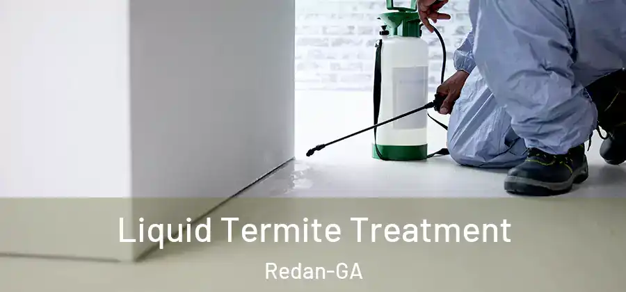 Liquid Termite Treatment Redan-GA