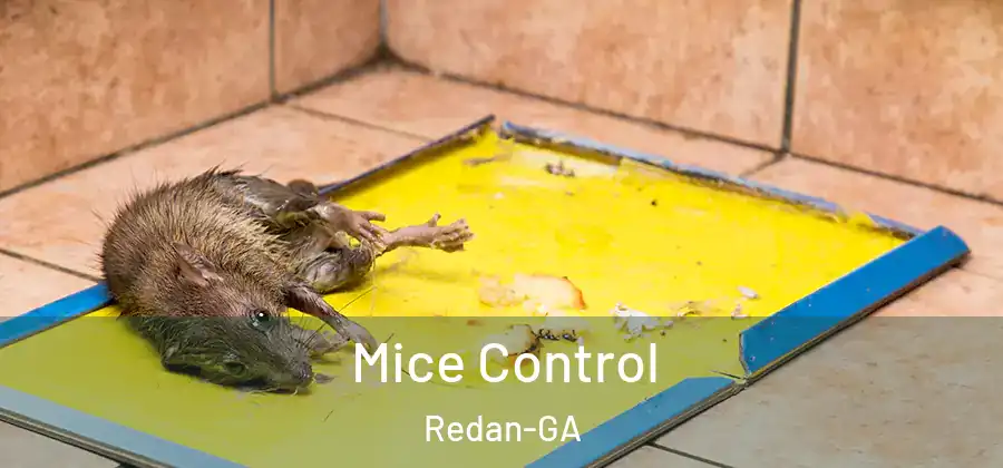 Mice Control Redan-GA